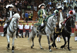 Imagens da corrida de Vila Franca 07-10-2014